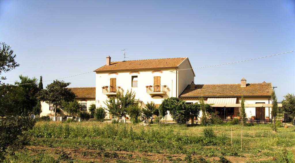 La Pulledraia Del Podere Montegrappa