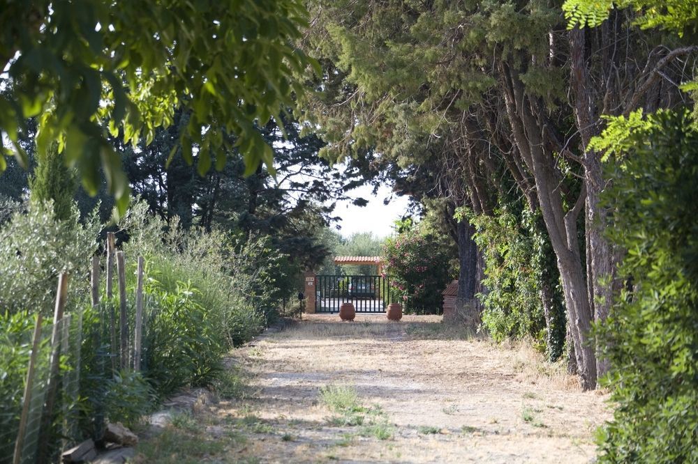 La Pulledraia Del Podere Montegrappa Farm stay