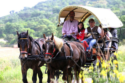La Pulledraia Del Podere Montegrappa Farm stay *