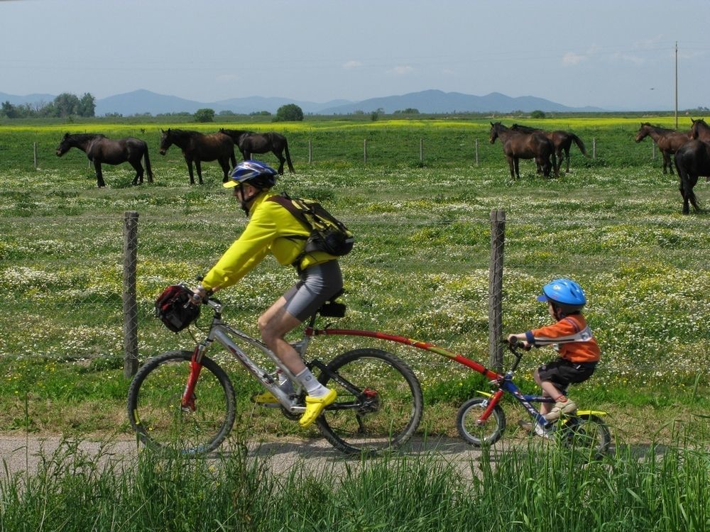 Farm stay La Pulledraia Del Podere Montegrappa